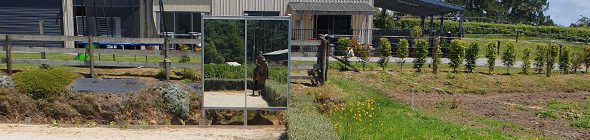 Equine Arena Mirror